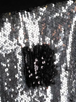 Molecola Pantaloni palazzo con paillettes